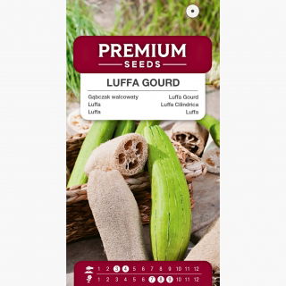 Gąbczak walcowaty - 9 nasion