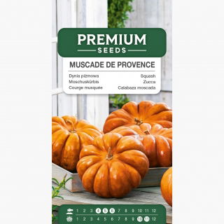 Dynia piżmowa Muscade de Provence - miąższ bardzo aromatyczny - 18 nasion