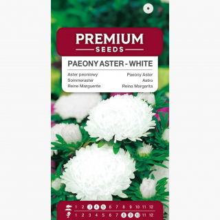 Aster chiński peoniowy biały - 500 nasion