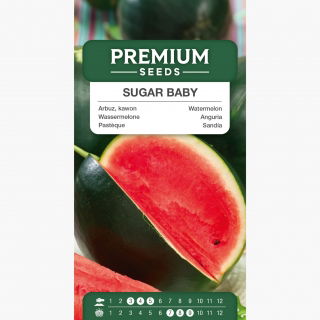 Arbuz, kawon Sugar Baby - 23 nasion