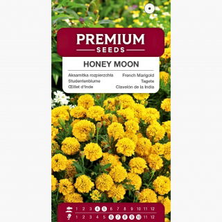 Aksamitka rozpierzchła Honey Moon - żółta