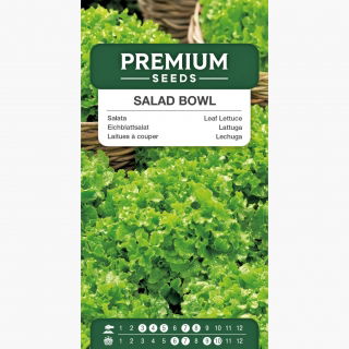 Sałata liściowa Salad Bowl zielona, dębolistna