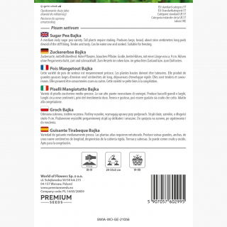 Groch cukrowy BAJKA - 160 nasion