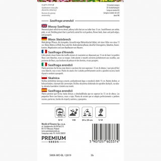 Skalnica – kobierzec różnobarwnych kwiatów - 2000 nasion