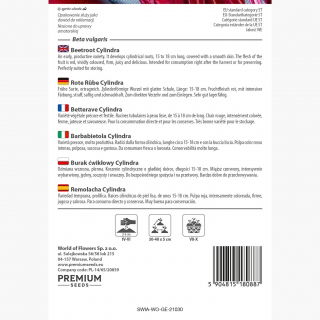 Burak ćwikłowy Cylindra - 940 nasion