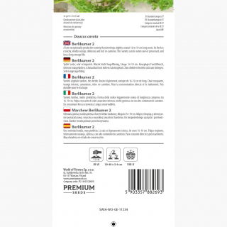 Marchew jadalna Berlikumer 2 - Perfekcja - późna