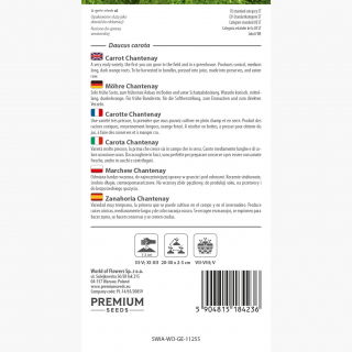 Marchew Chantenay - 2550 nasion