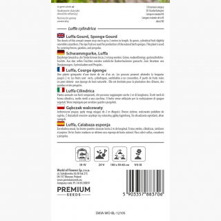 Gąbczak walcowaty - 9 nasion