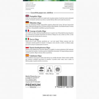 Dynia zwyczajna Olga bezłupinowa - 15 nasion