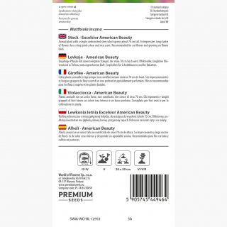 Lewkonia letnia - Excelsior - American Beauty