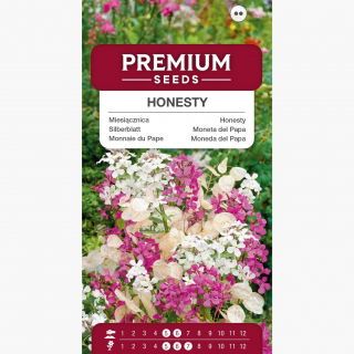 Miesięcznica (Miesięcznica, Lunaria) - 45 nasion