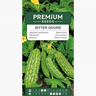 Balsamka ogórkowata, przepękla ogórkowata - 10 nasion