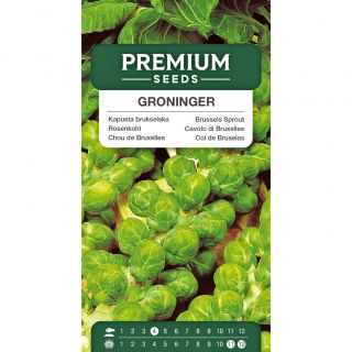 Kapusta brukselska Groninger - 640 nasion