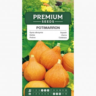 Dynia olbrzymia - Potimarron - 15 nasion