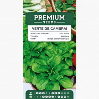 Roszponka warzywna - 1700 nasion