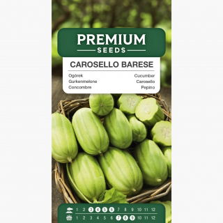 Ogórek melonowy Carosello Barese - nowość! - 40 nasion