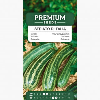 Cukinia Striato d'Italia - 10 nasion