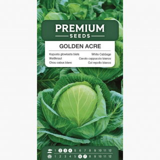 Kapusta głowiasta biała Golden Acre - wczesna, główki zielono-żółtawe - 480 nasion
