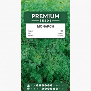 Koper ogrodowy Monarch - po ścięciu odrasta - 1680 nasion