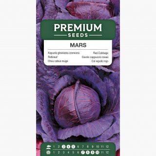 Kapusta głowiasta czerwona Mars - średnio wczesna
