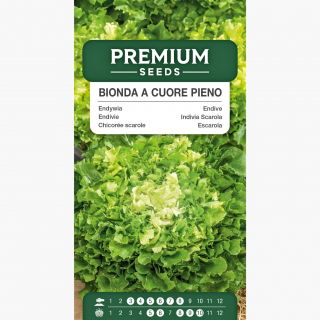 Endywia Bionda a Cuore Pieno