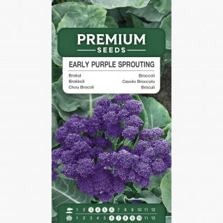 Brokuł Early Purple Sprouting