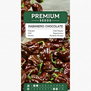 Papryka Habanero Chocolate - ostra, ciemnobrązowa