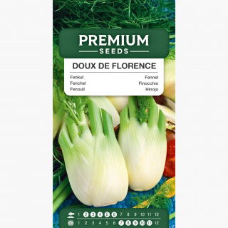 Fenkuł, Koper włoski Doux de Florence