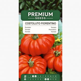Pomidor Costoluto fiorentino - gruntowy, mocno żebrowany
