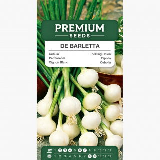 Cebula De Barletta - biała, wczesna, łagodna i lekko słodka