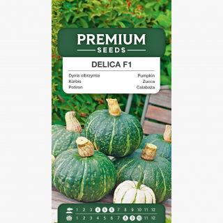 Dynia olbrzymia Delica F1