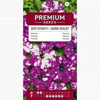 Petunia Dot Star F1 - Dark Violet