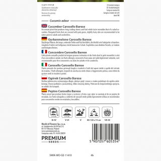 Ogórek melonowy Carosello Barese - nowość! - 40 nasion