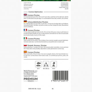 Onętek, Kosmos Sensation wysoki - Picotee