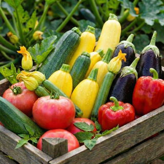 Warzywa do faszerowania - zestaw 5 odmian nasion