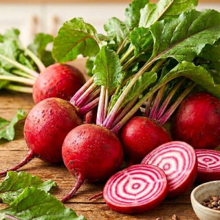 Burak ćwikłowy Tonda di Chioggia - pasiasty, biało-czerwony miąższ, dekoracyjny, idealny do spożycia na surowo