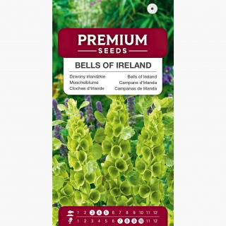 Dzwony irlandzkie - 160 nasion