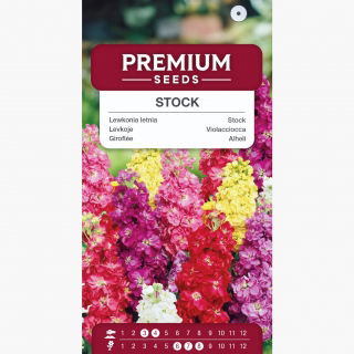 Lewkonia letnia - 300 nasion