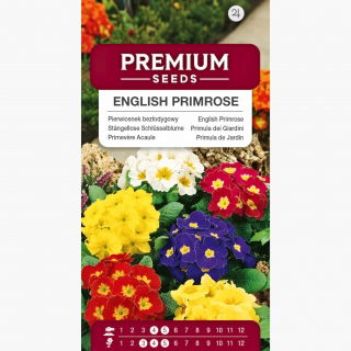 Pierwiosnek bezłodygowy - 140 nasion