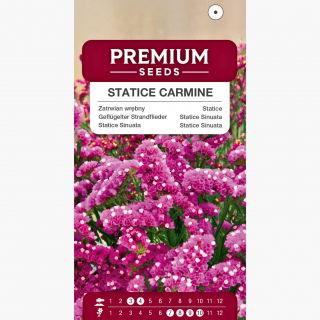 Zatrwian wrębny - karminowy - 105 nasion