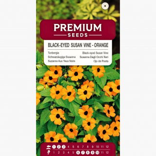 Tunbergia pomarańczowa - 28 nasion