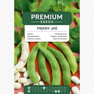 Fasola tyczna - Piękny Jaś