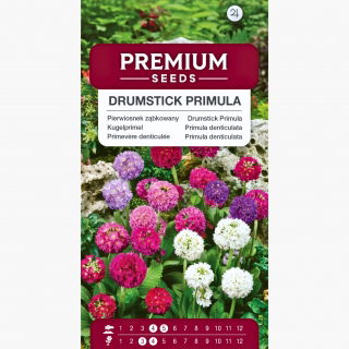 Pierwiosnek ząbkowany - 600 nasion