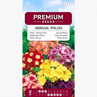 Floks - Płomyk letni - 250 nasion