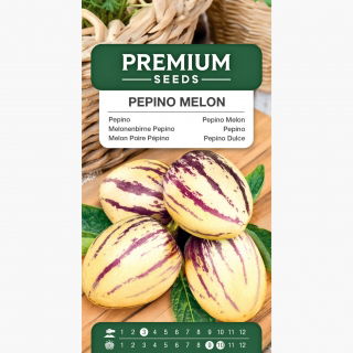 Pepino, miechunka melonowa - 10 nasion