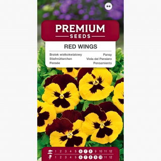 Bratek wielkokwiatowy - żółto-brązowy - 400 nasion