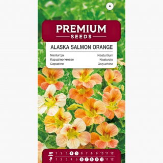 Nasturcja karłowa - Alaska Salmon Orange - 24 nasion