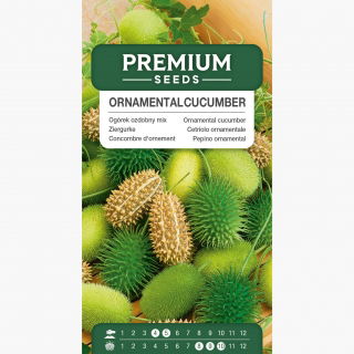 Ogórek ozdobny - 54 nasion