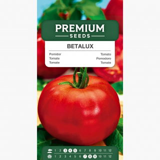 Pomidor karłowy Betalux - 220 nasion