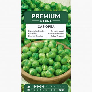 Kapusta brukselska Casiopea - 640 nasion